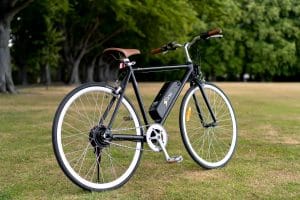 How much an ELECTRIC BIKE cost in NZ?