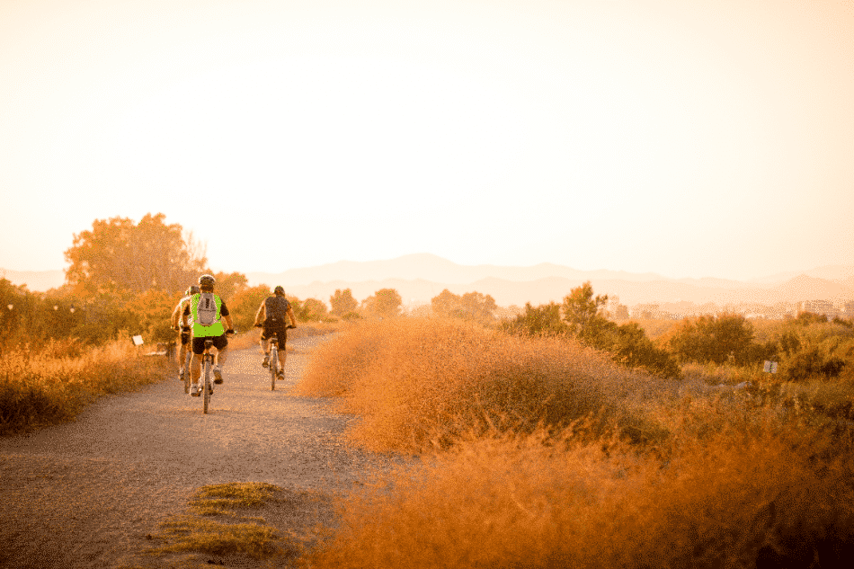 How to Choose the Right eBike for You